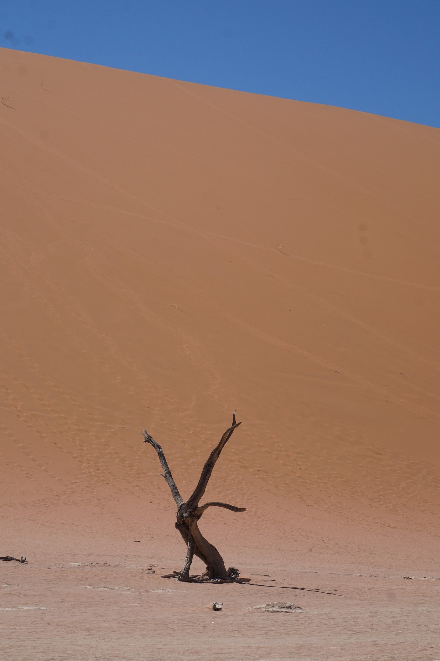 Click Image for next Picture
