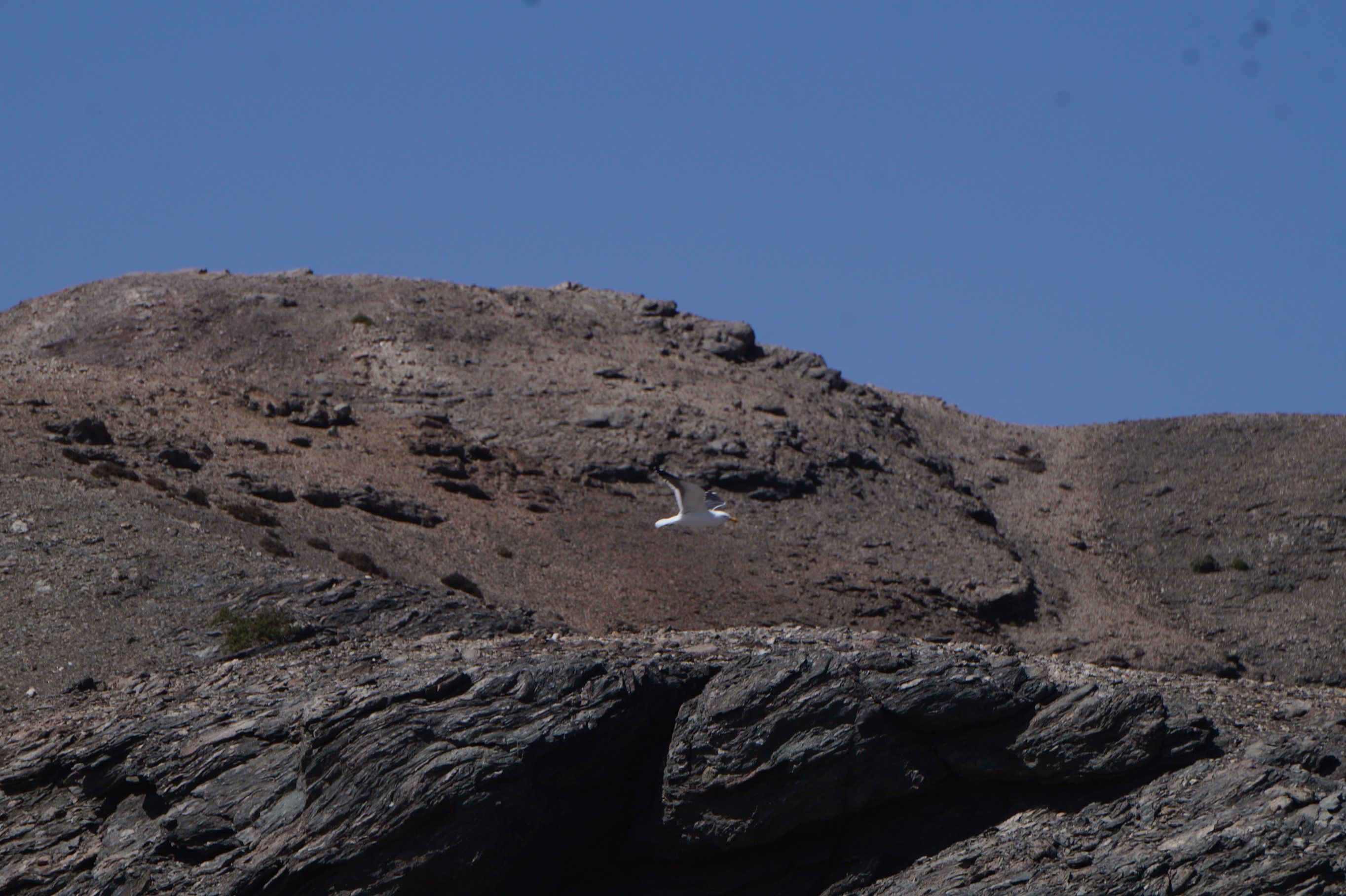 Click Image for next Picture